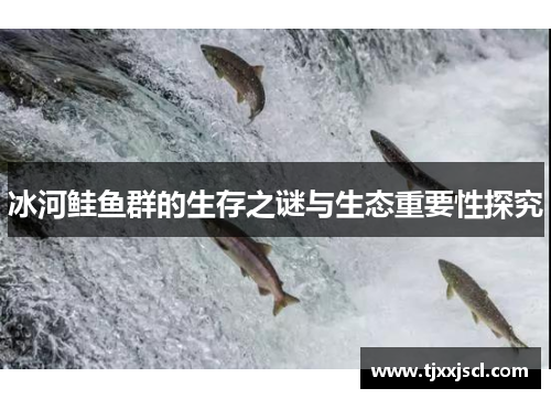 冰河鲑鱼群的生存之谜与生态重要性探究